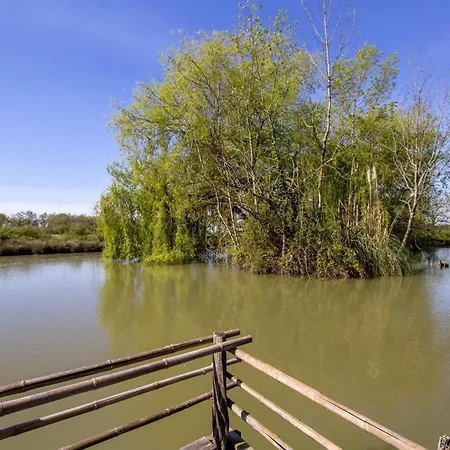 Authentique Avec Piscine, Cheminee Et Etang Prive A - Proche Bergerac - Fr-1-616-205