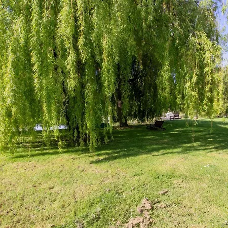 Authentique Avec Piscine, Cheminée Et étang Privé à - Proche Bergerac - Fr-1-616-205 * Naussannes